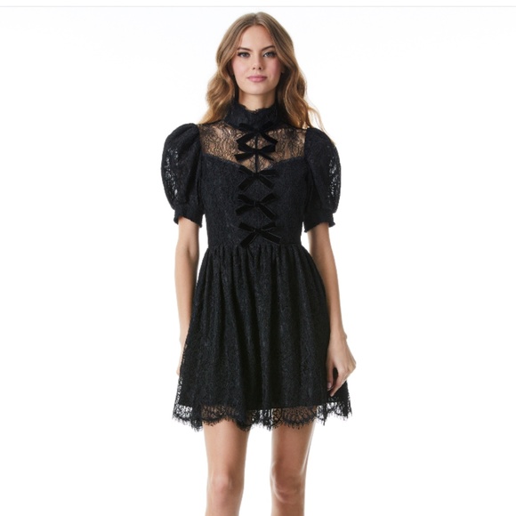 NWT $595 Alice Olivia Vernita Lace Button-down Party Dress in